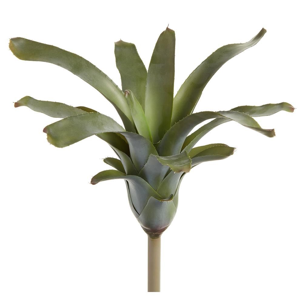 16&quot; Bromeliad Plant  Green Gray