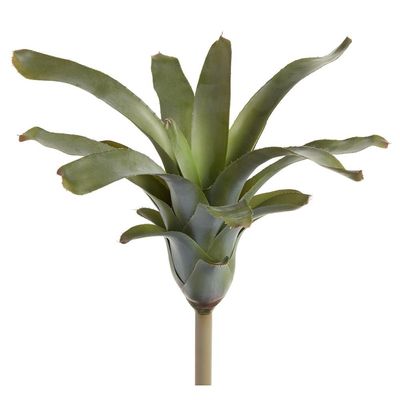 16&quot; Bromeliad Plant  Green Gray