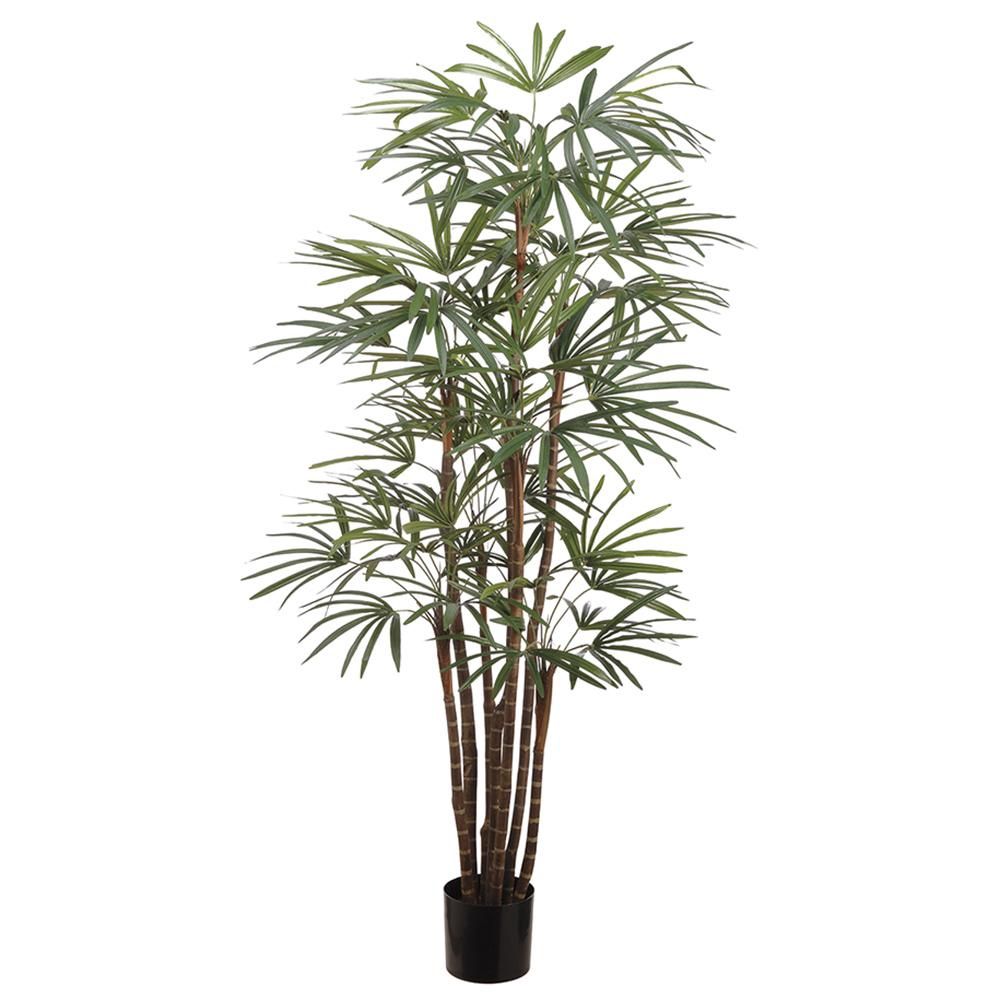 4&#39; Palm Tree x7
