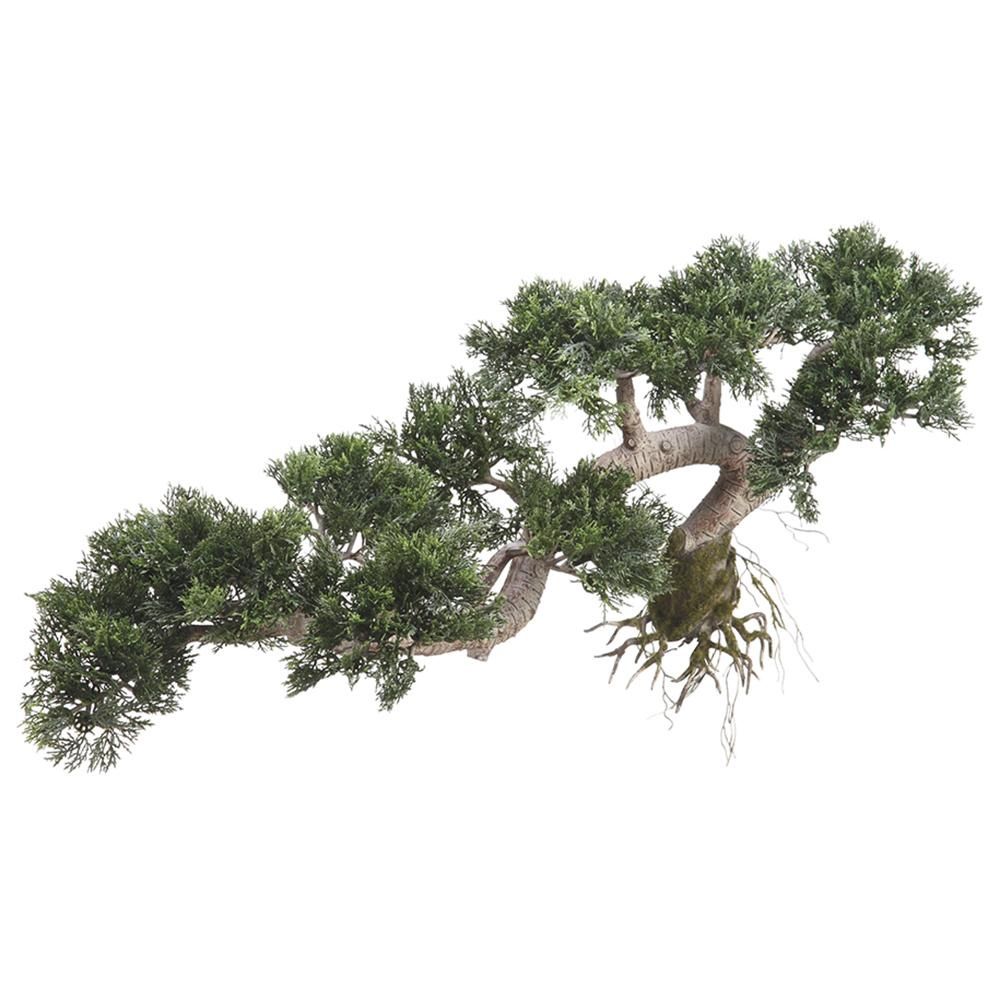 15&quot;H x27&quot;W Trailing Cedar Bonsai Green