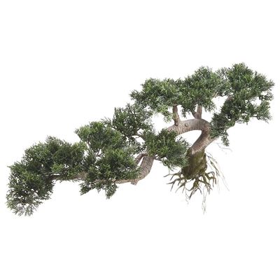 15&quot;H x27&quot;W Trailing Cedar Bonsai Green