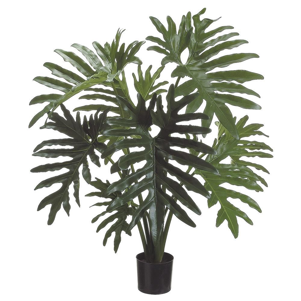31&quot; Selloum Philodendron Plant in Plastic Pot Green