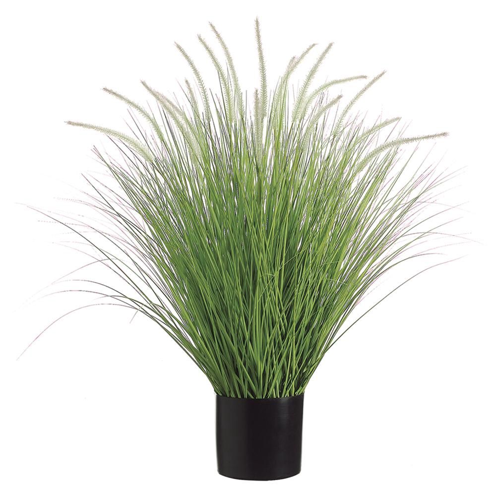 39&quot; Dog Tail Onion Grass in Pot Green