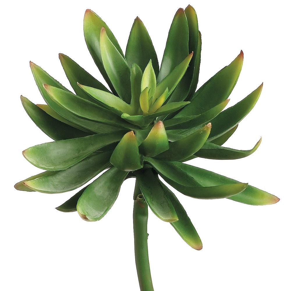 6.6&quot; Agave Pick  Green
