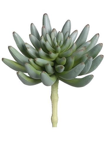 6&quot;Hx3.5&quot;D Real Touch Spike Aeonium Pick Green Gray