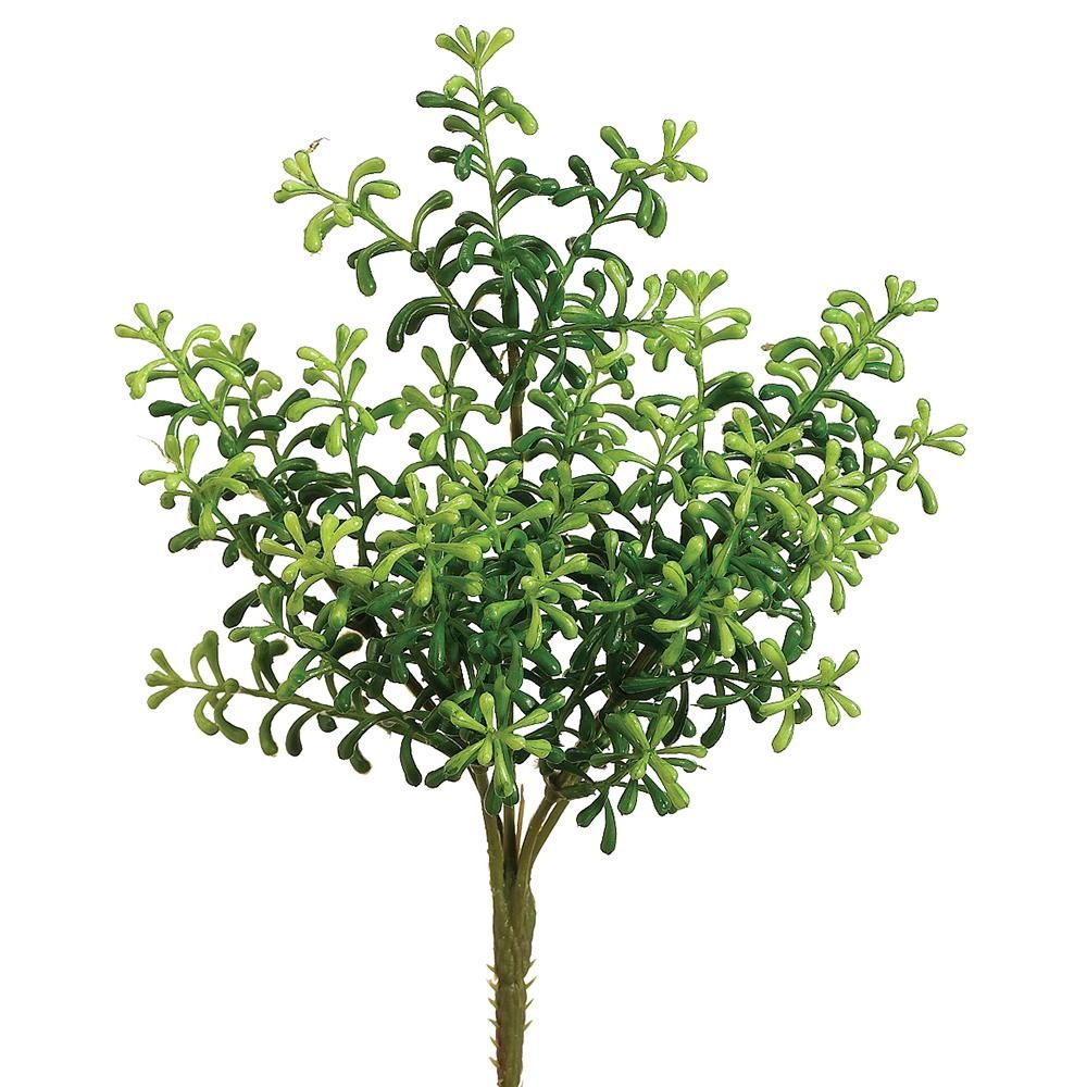 10&quot; Sedum Bush  Green