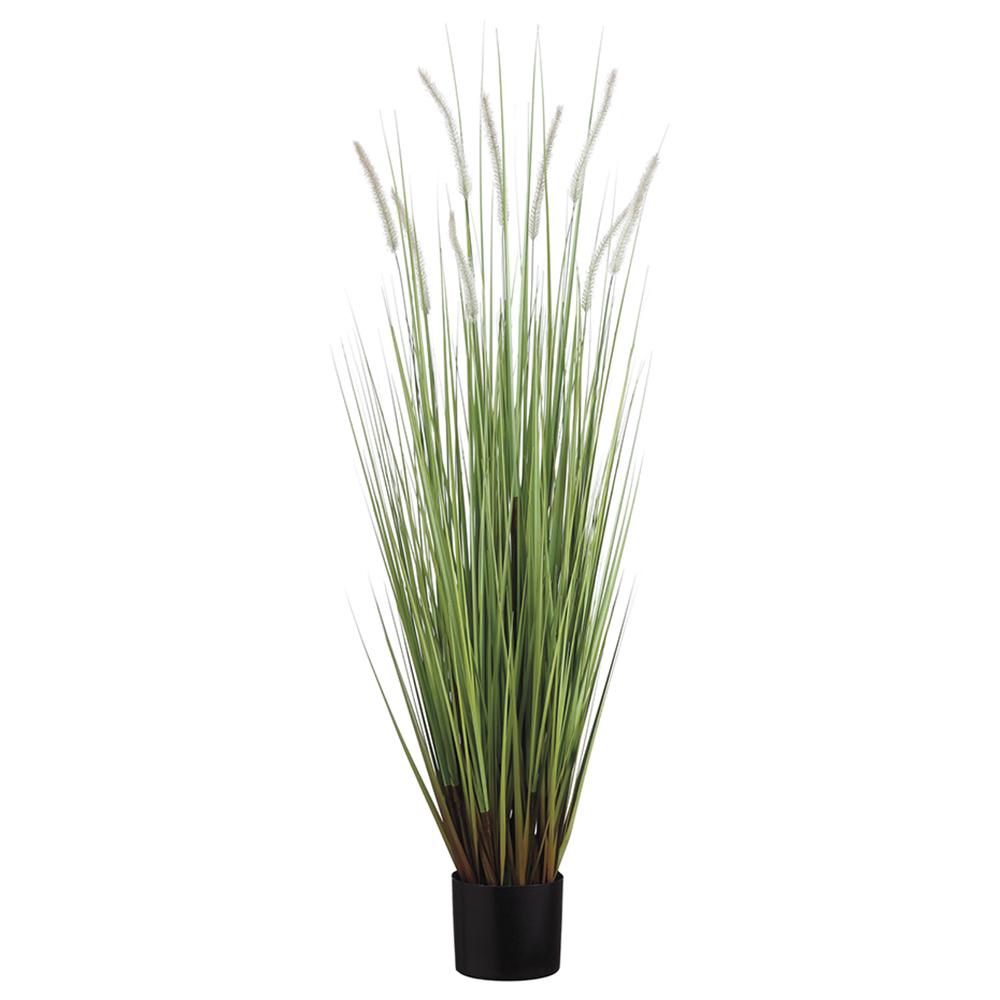 48&quot; Dog Tail Grass x9 in Pot  Green Brown