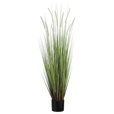 48" Dog Tail Grass x9 in Pot Green