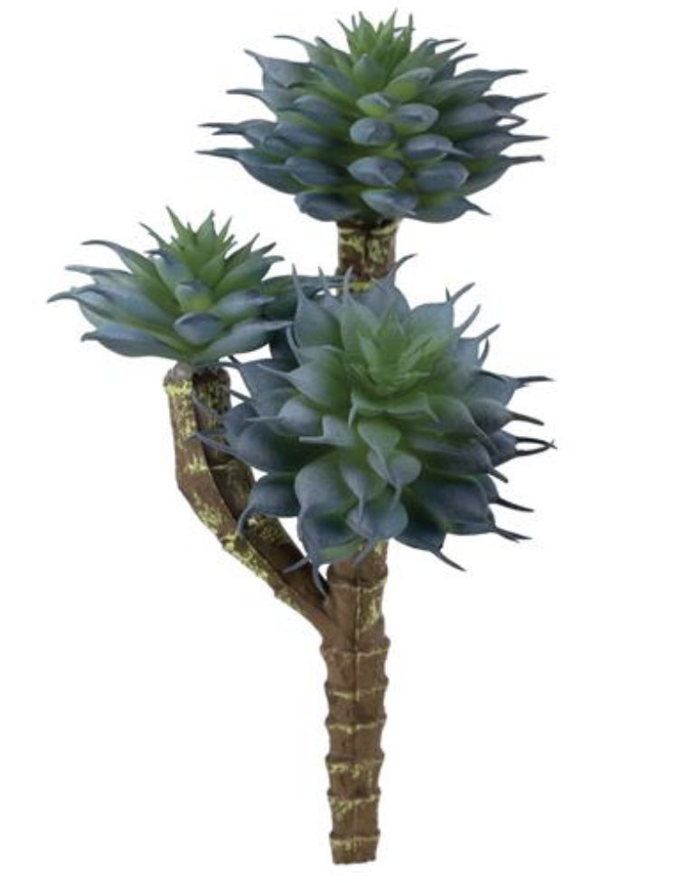 SPINY SUCCULENT PICK X3, 7.5&quot;, BLUE