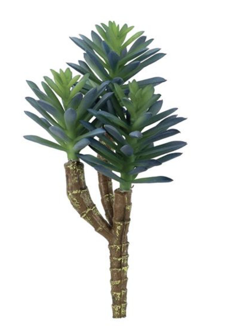 SUCCULENT PICK X3, 8&quot;, BLUE