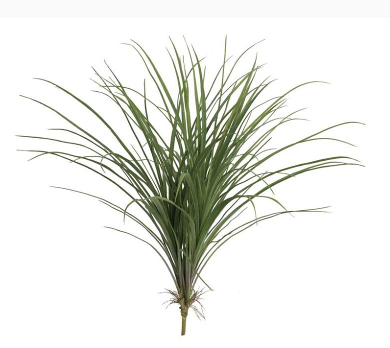 GRASS BUSH, 23&quot;, GREEN