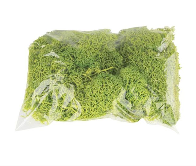 MOSS IN BAG, 3.5OZ/BAG