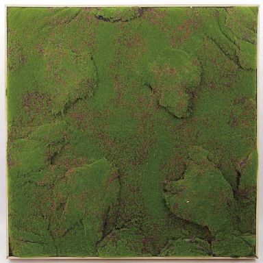 KYOTO MOSS PANEL UV
