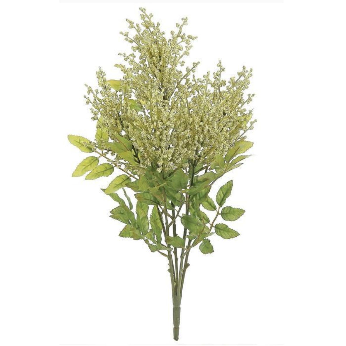 Astilbe Bush X5 23&quot; Beige