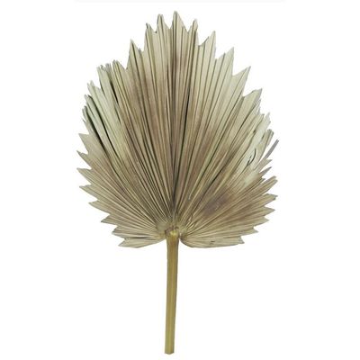 FAN PALM FROND 23&quot;, TOBACCO