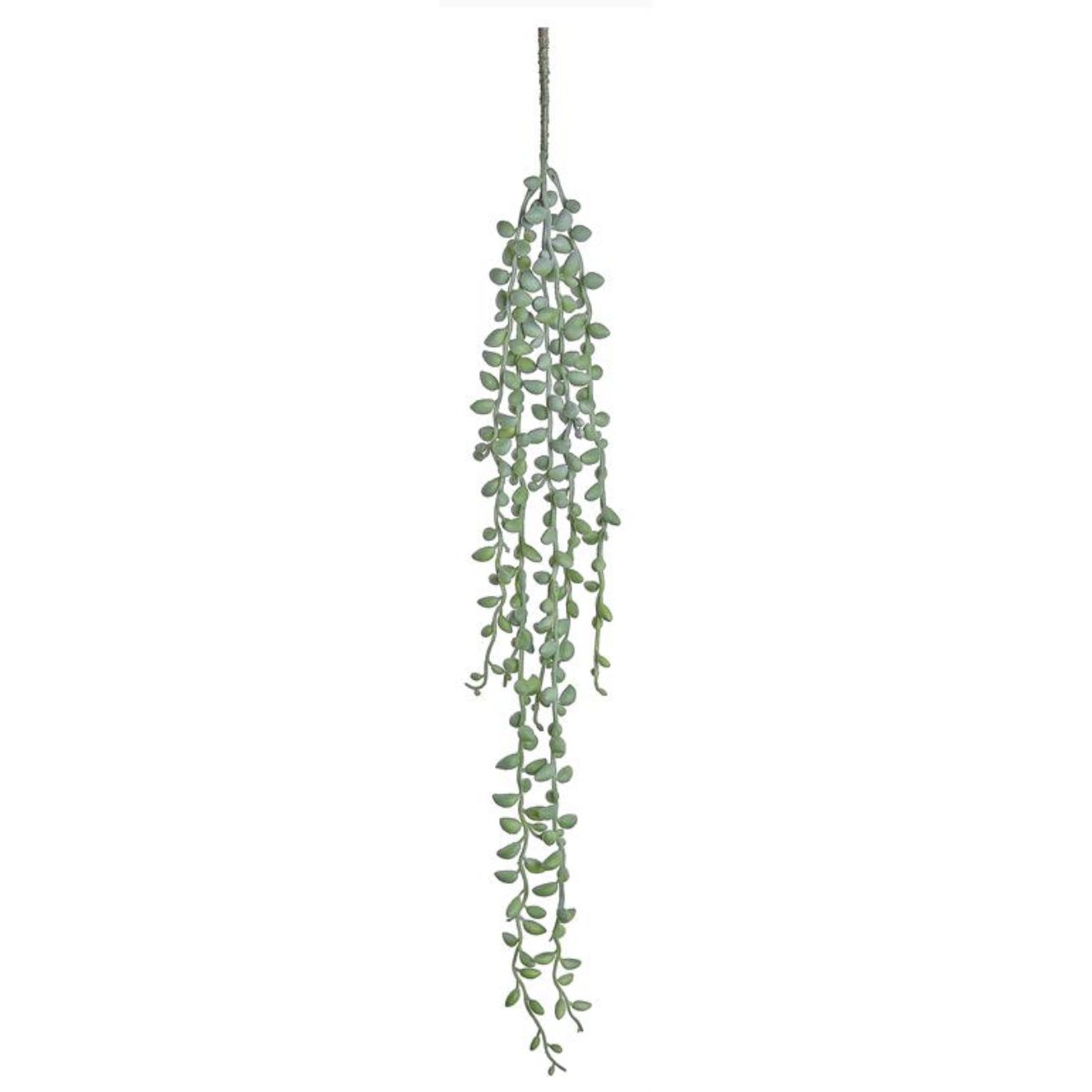 HANGING SENECIO VINE, 27&quot; SAGE