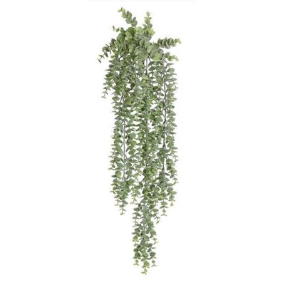 Hanging Eucalyptus Sage