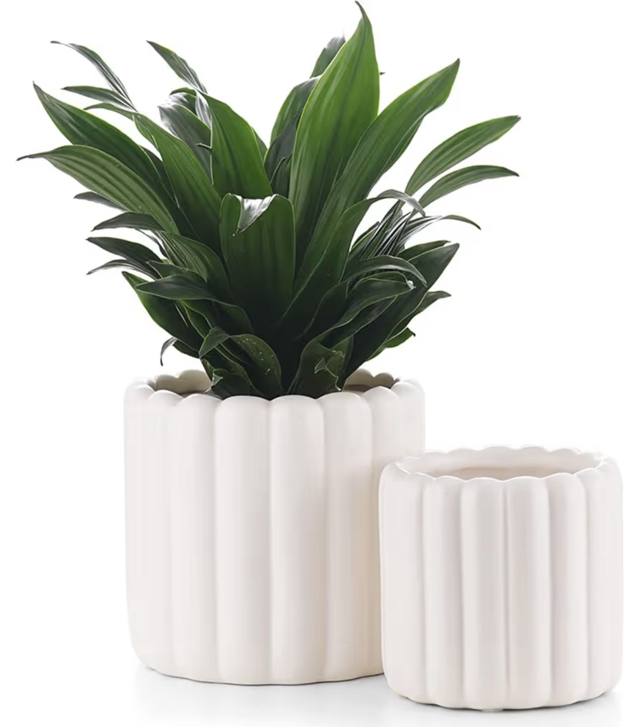 6&quot; White Ceramic Planter