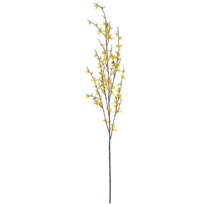 FORSYTHIA BRANCH, 50&quot;