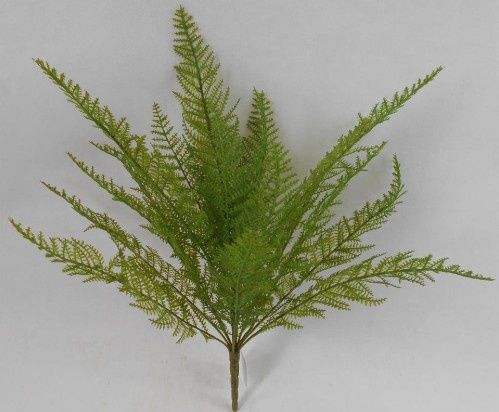 LACE FERN BUSH X18, 20&quot;