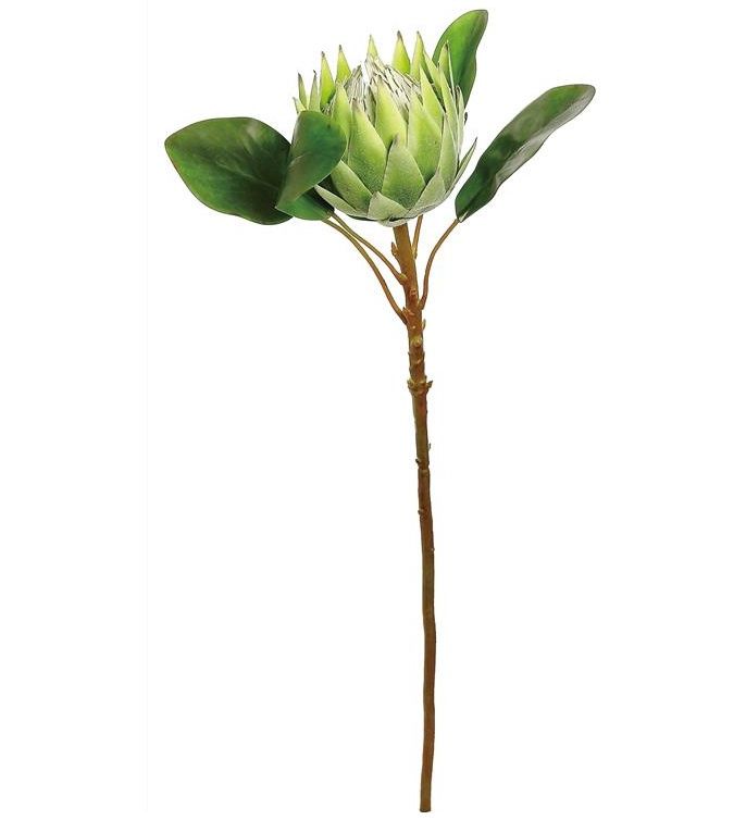 24&quot; Large King Protea
