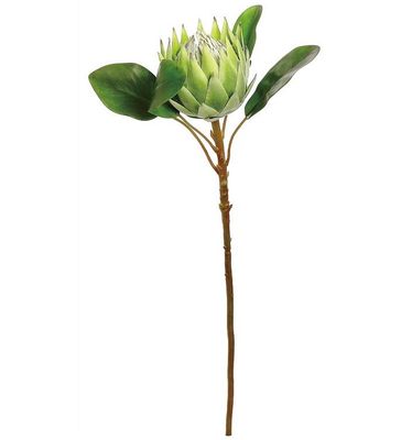24&quot; Large King Protea