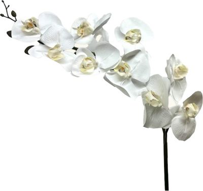 39&quot; L 9 Flowers White Orchids