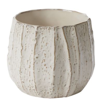 Beechwood Pot 8" x 6.75"