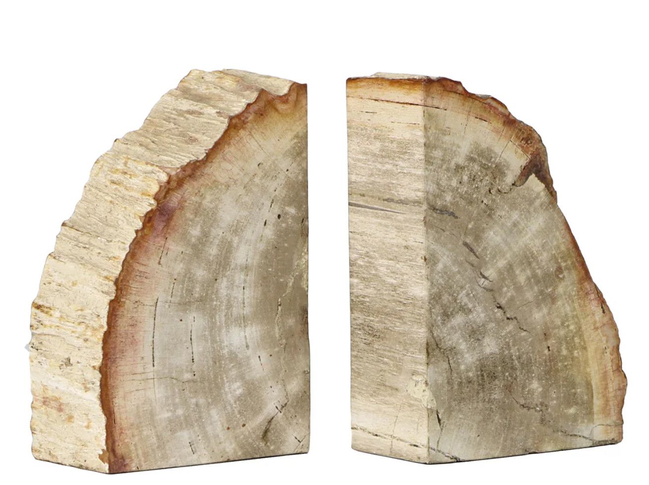 Petrified Bookend | Pair