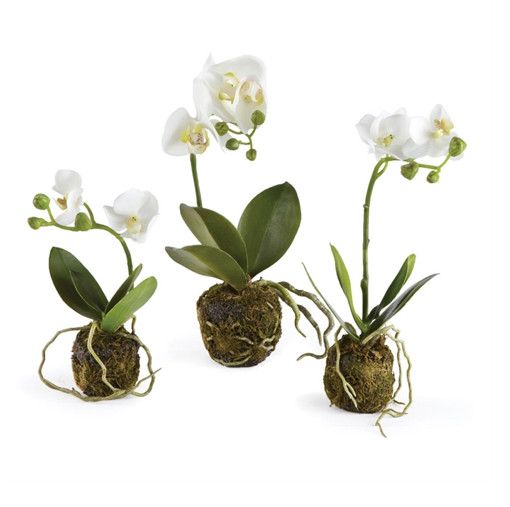 13&quot; Orchid Drop In | Large Mini