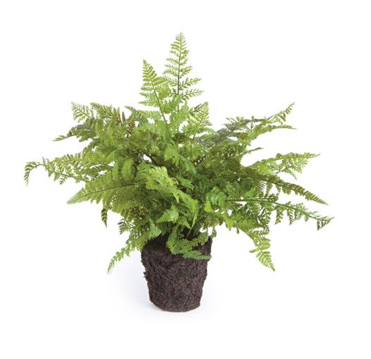 Soft Fern Drop In 10.5&quot;