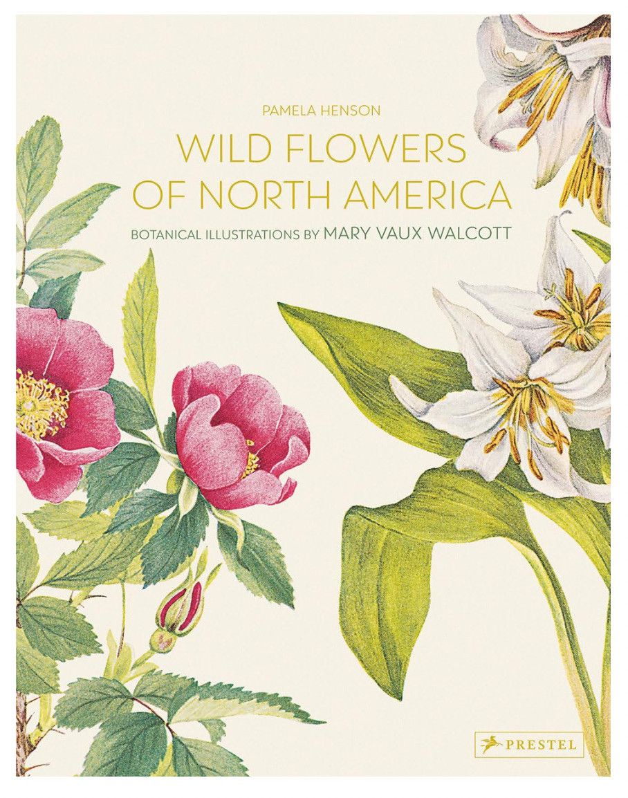 Wild Flowers of North America