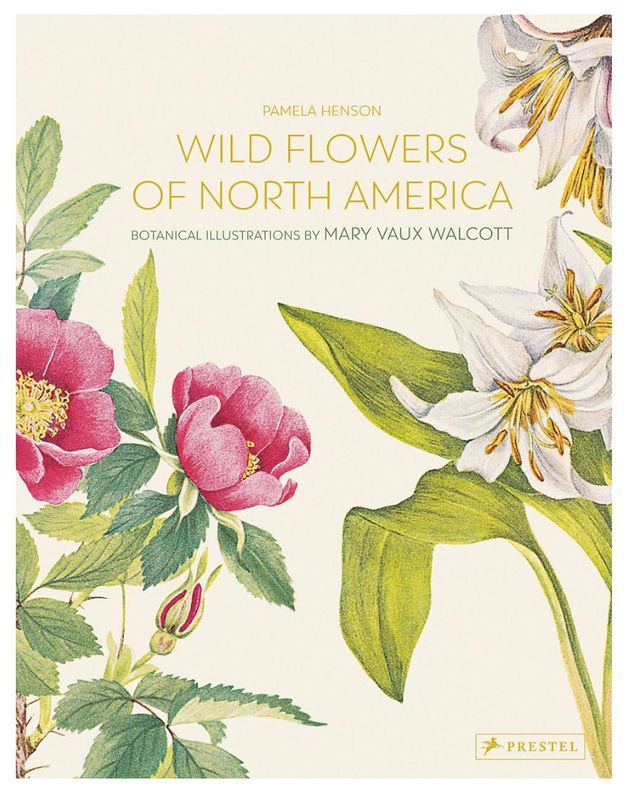 Wild Flowers of North America