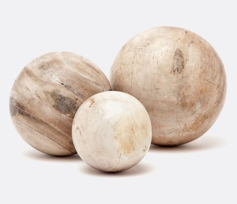 Bram Petrified Wood Objects | Set of 3