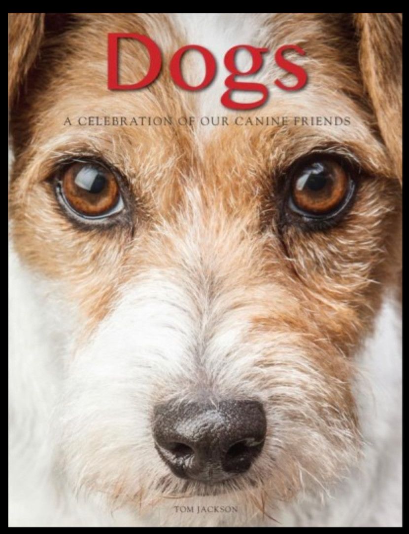 Dogs: A Celebration of our Canine Friends