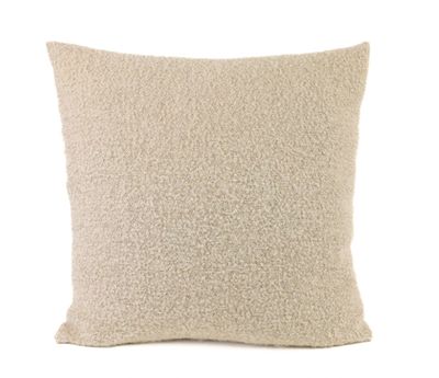 Winters Pillow 11 Cream | 23x23