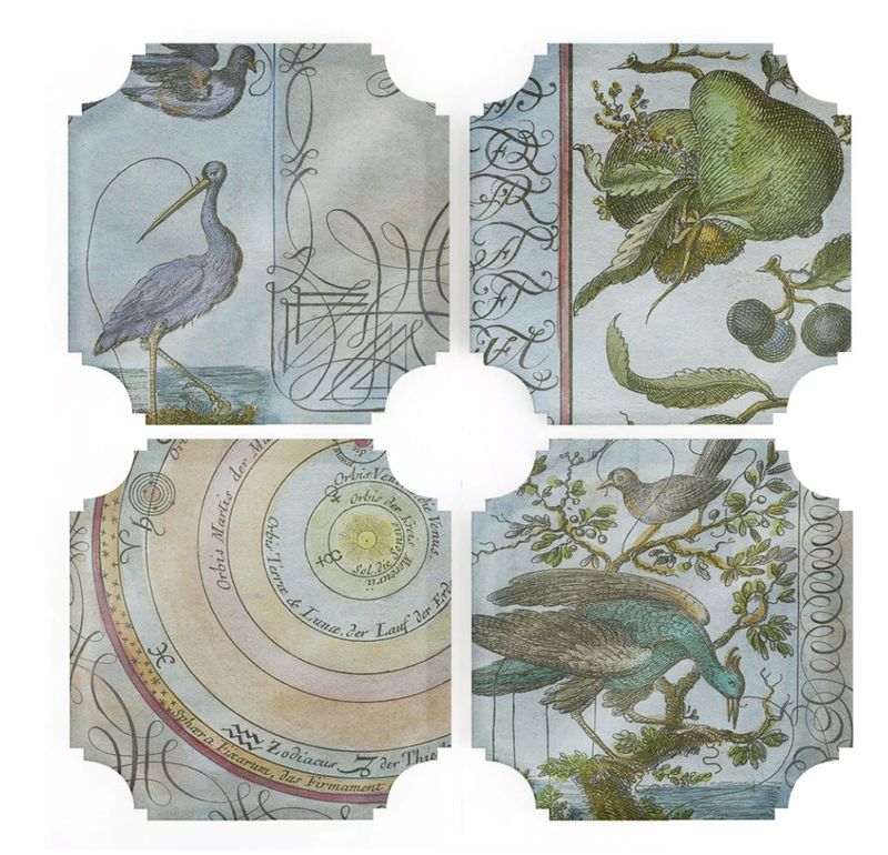 Celestial Birds &amp; Pears Coasters | Set of 4