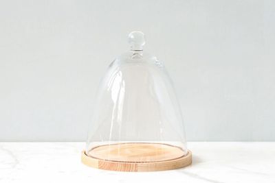 Glass Dome with Wood Base | Tall