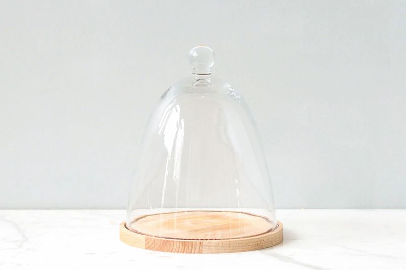 Glass Dome with Wood Base | Tall