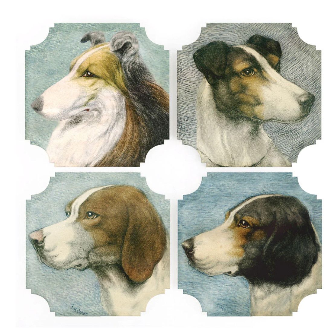 Dogs Coasters  | Set of 4