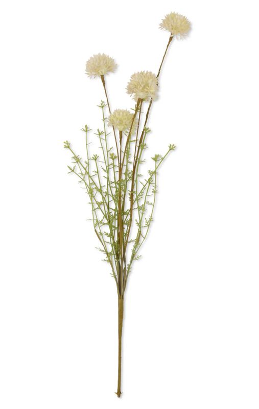 Malaleuca Cream Stem