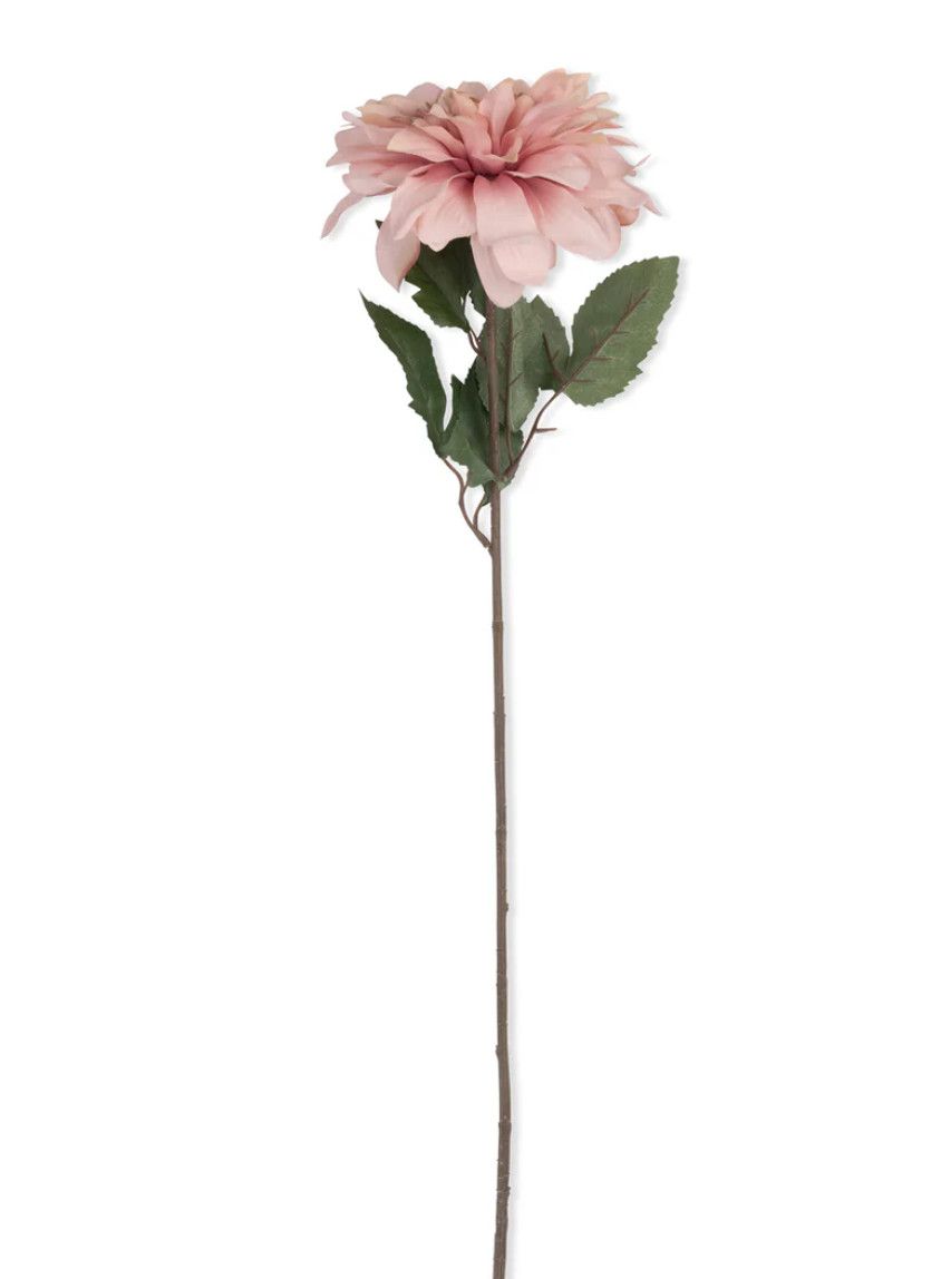 Dahlia Flamingo