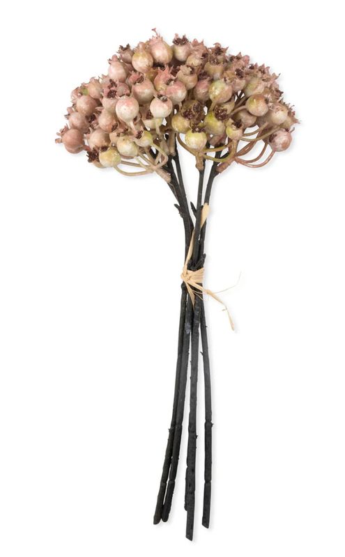 Rose Hip Bunch Blush | 5 Stems