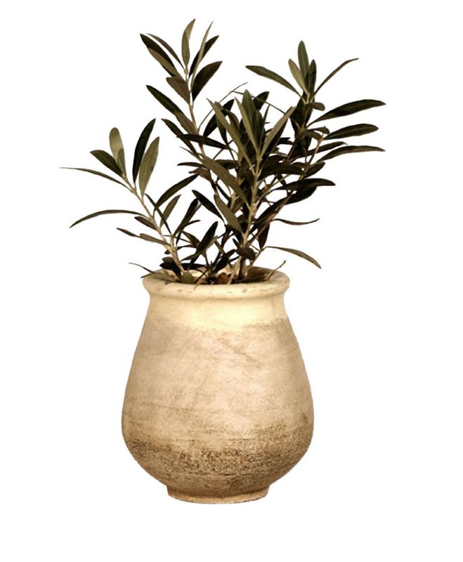 Mini Oil Jar - Provence Crème