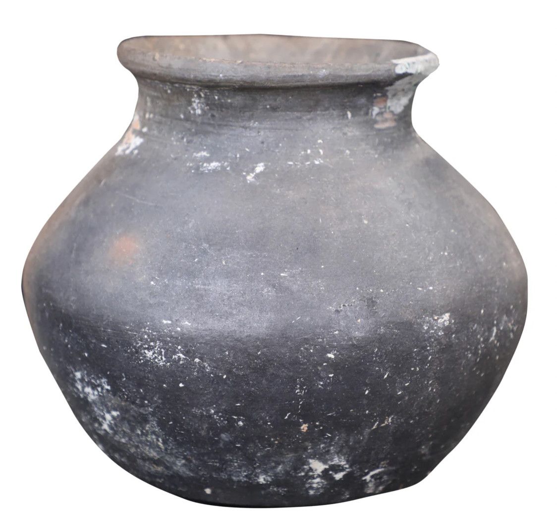 Small Antique Clay Pot w/ Plant
