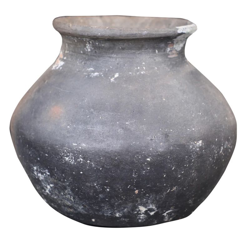 Small Antique Clay Pot w/ Plant