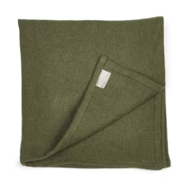 Hudson Napkin 21x21 Forest