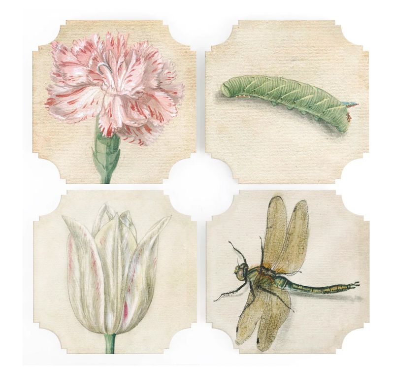 Bots &amp; Bugs Coasters | Set of 4