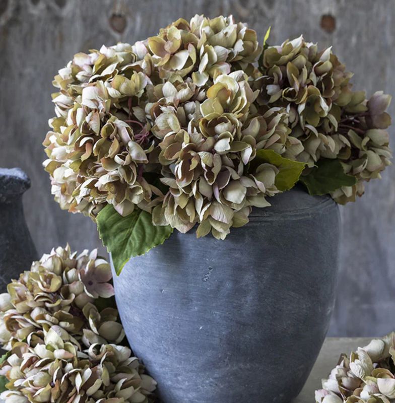 Hydrangea Dusk Stem
