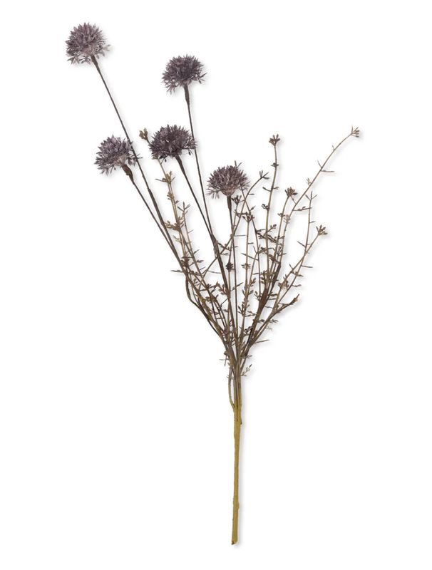 Melaleuca Purple Stem